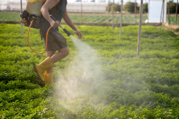 Best Pest Control Near Me in Northchase, NC