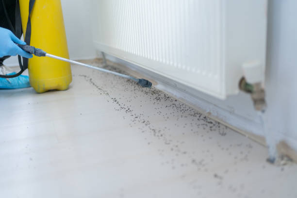 Best Affordable Pest Control Services  in Northchase, NC